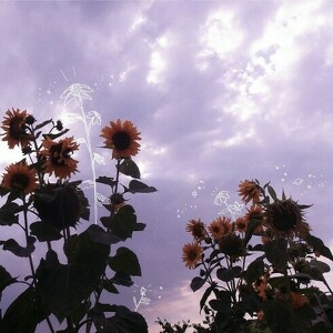 Fundraising Page: Aiman Khan